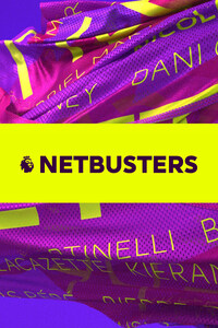 Póster de Netbusters